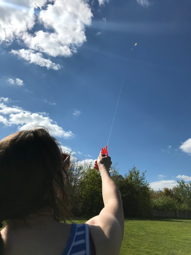 Let's go fly a kite